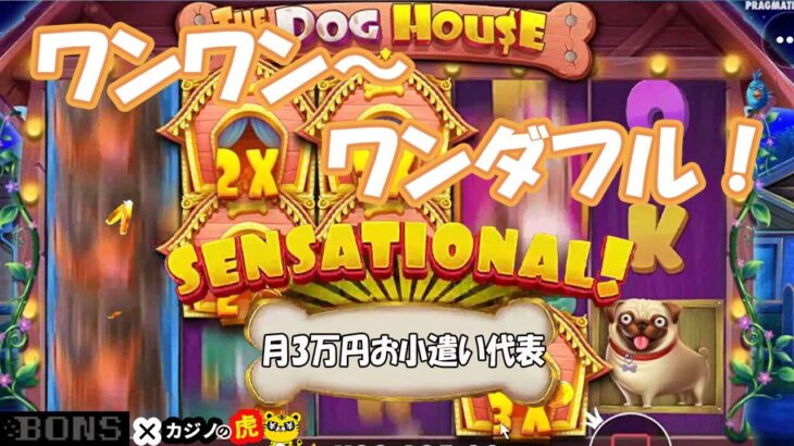 #420【オンラインカジノ｜スロット🎰】ワンダフル～お小遣い増えたど！｜The Dog House｜月3万円お小遣い代表