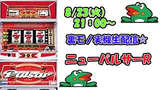 【パチスロ裏モノニューパルサーR】　上乗せver☆『まったり雑談。初見さん歓迎！設定予想、差枚数予想しながら楽しめるLive』