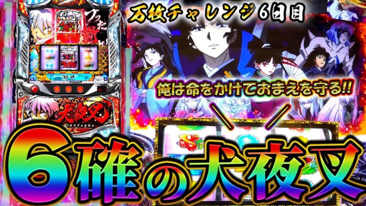 6確した犬夜叉を全ツッパした結果【万枚チャレンジ6日目】【設定6】【6.5号機】【スロプロ】【スロット】【養分稼働 174話】